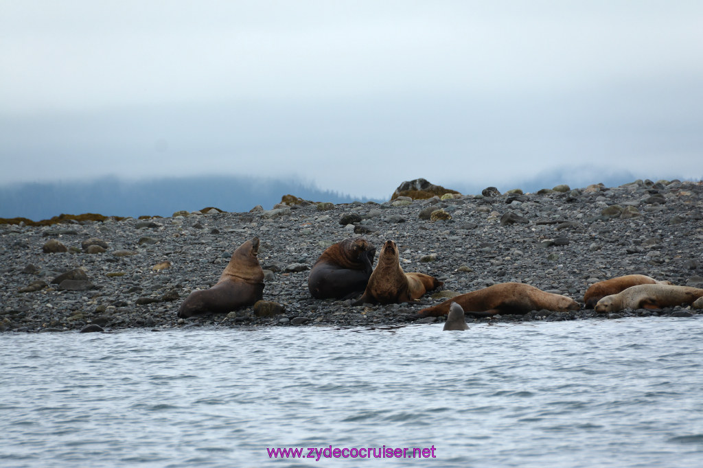 354: Carnival Miracle Alaska Cruise, Juneau, Harv and Marv's Whale Watching, 