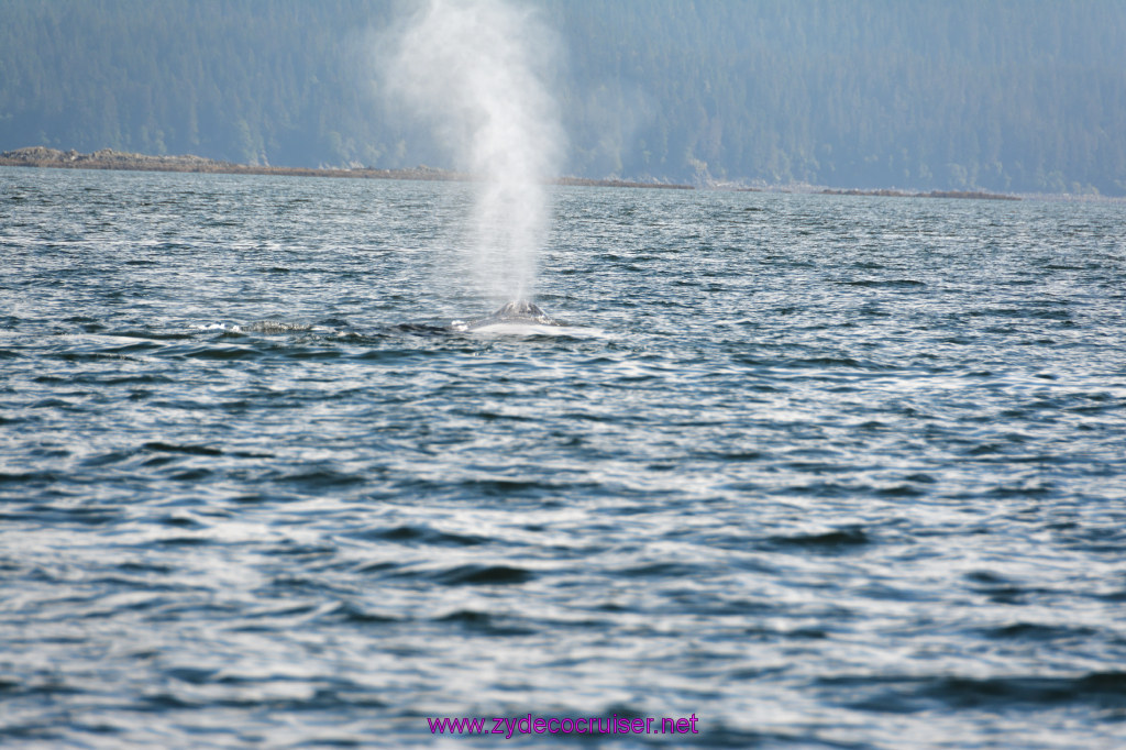 380: Carnival Miracle Alaska Cruise, Juneau, Harv and Marv's Whale Watching, 