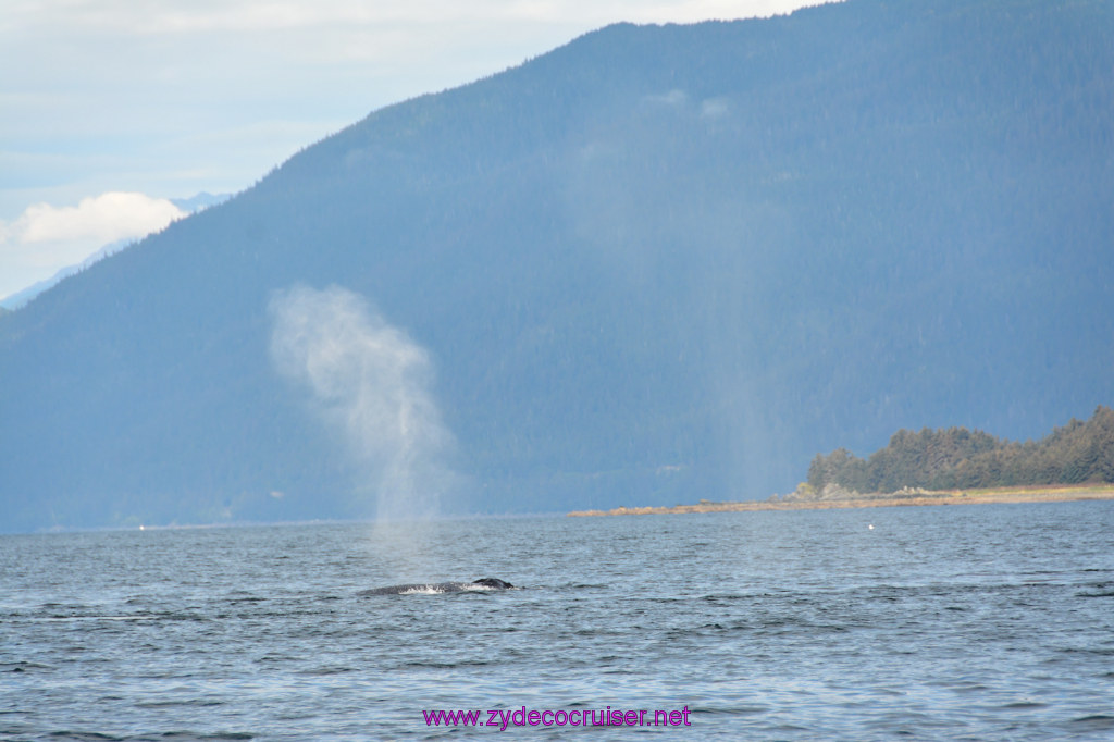 408: Carnival Miracle Alaska Cruise, Juneau, Harv and Marv's Whale Watching, 