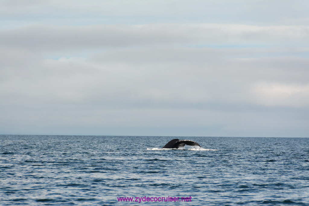 452: Carnival Miracle Alaska Cruise, Juneau, Harv and Marv's Whale Watching, 