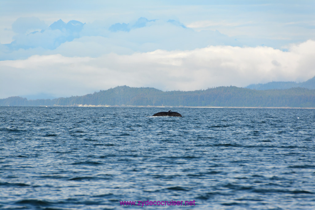 457: Carnival Miracle Alaska Cruise, Juneau, Harv and Marv's Whale Watching, 