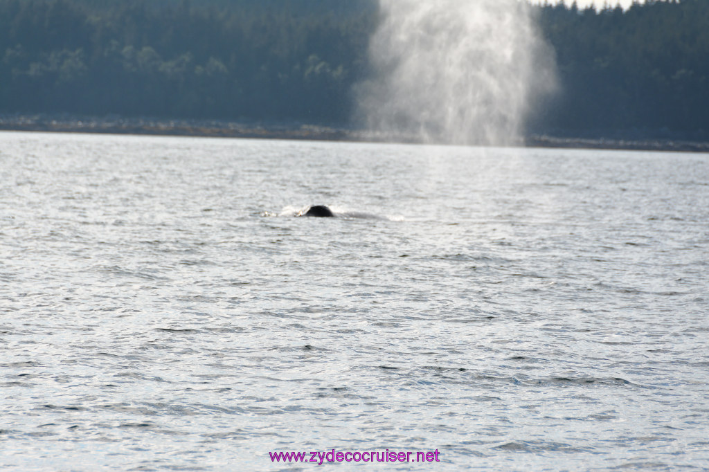 486: Carnival Miracle Alaska Cruise, Juneau, Harv and Marv's Whale Watching, 