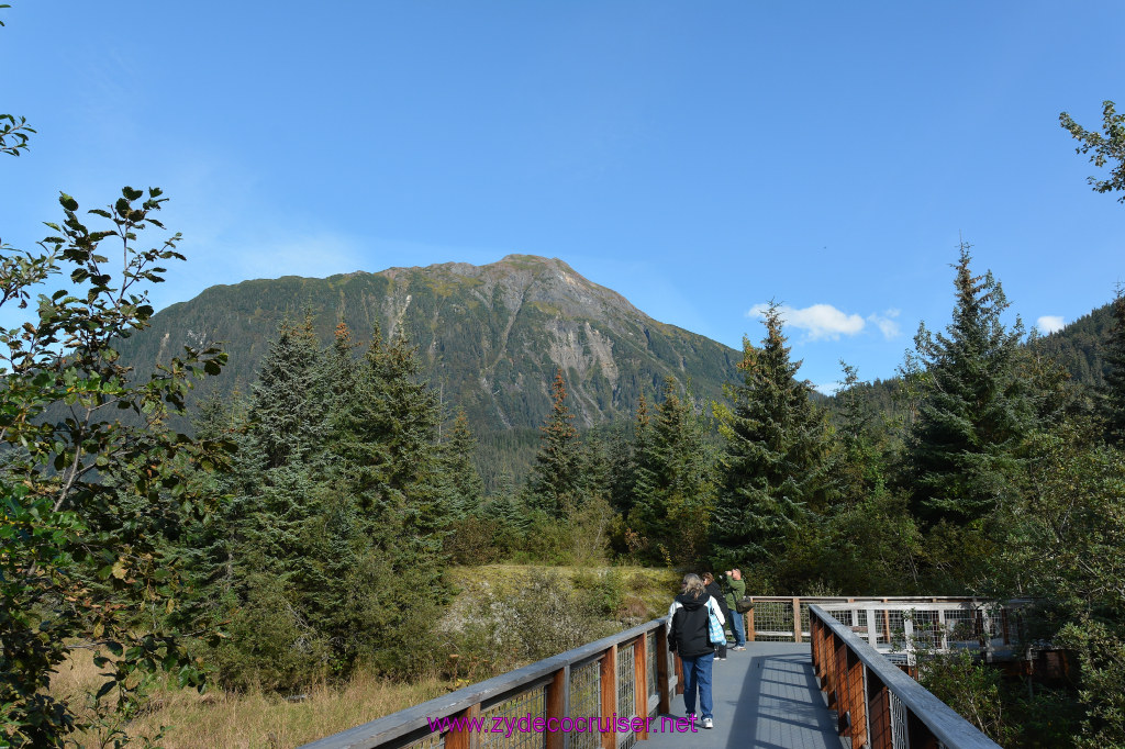 613: Carnival Miracle Alaska Cruise, Juneau, Harv and Marv's Whale Watching, 