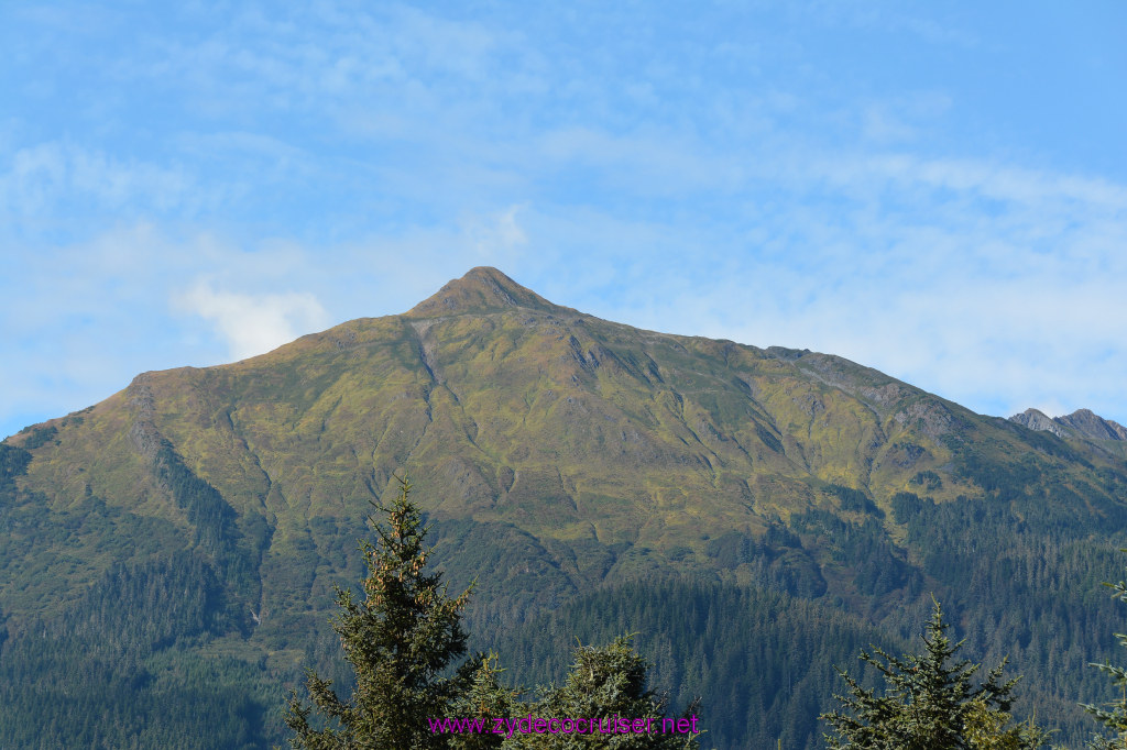 616: Carnival Miracle Alaska Cruise, Juneau, Harv and Marv's Whale Watching, 