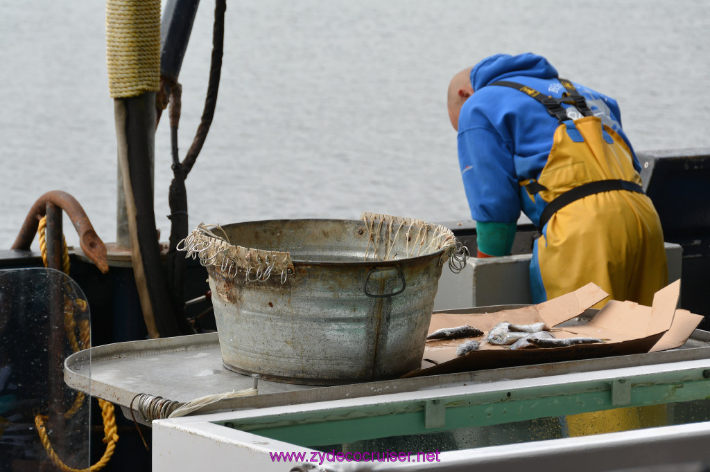 103: Carnival Miracle Alaska Cruise, Ketchikan, Bering Sea Crab Fisherman's Tour, 