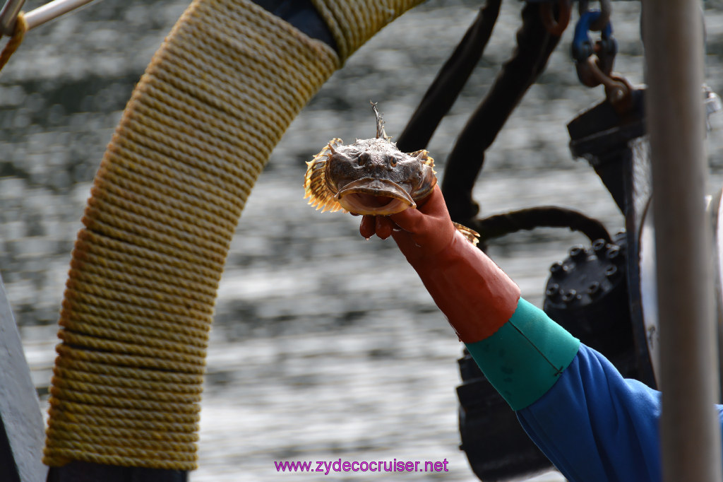 149: Carnival Miracle Alaska Cruise, Ketchikan, Bering Sea Crab Fisherman's Tour, 