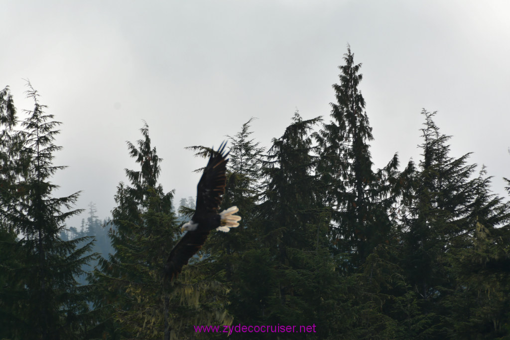 156: Carnival Miracle Alaska Cruise, Ketchikan, Bering Sea Crab Fisherman's Tour, 