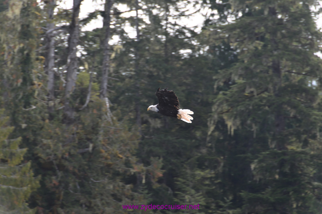 157: Carnival Miracle Alaska Cruise, Ketchikan, Bering Sea Crab Fisherman's Tour, 