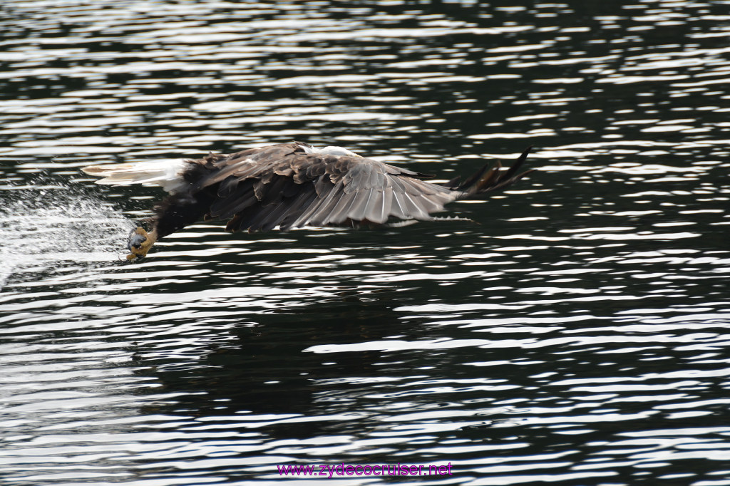 160: Carnival Miracle Alaska Cruise, Ketchikan, Bering Sea Crab Fisherman's Tour, 