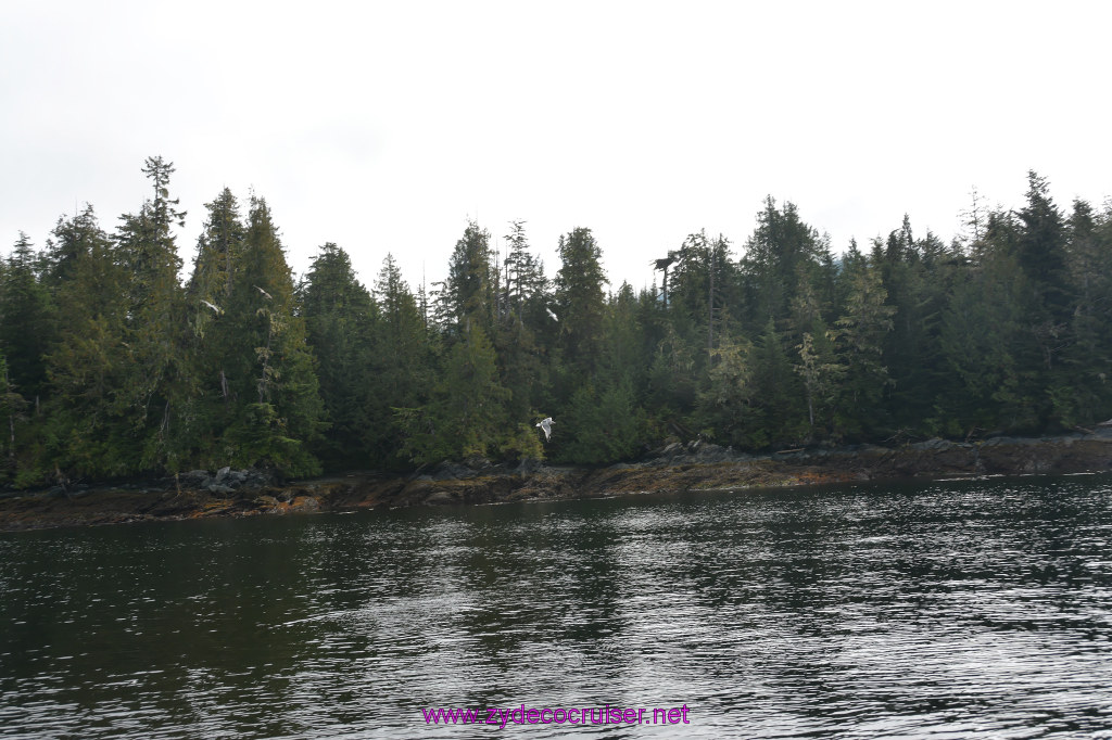 163: Carnival Miracle Alaska Cruise, Ketchikan, Bering Sea Crab Fisherman's Tour, 