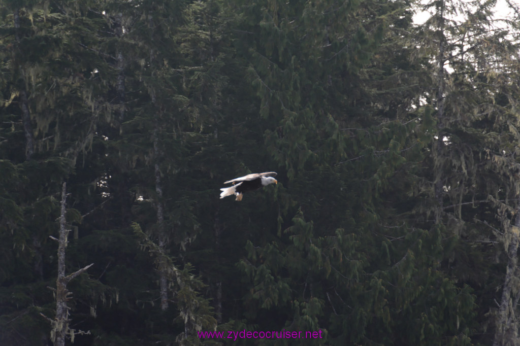 165: Carnival Miracle Alaska Cruise, Ketchikan, Bering Sea Crab Fisherman's Tour, 