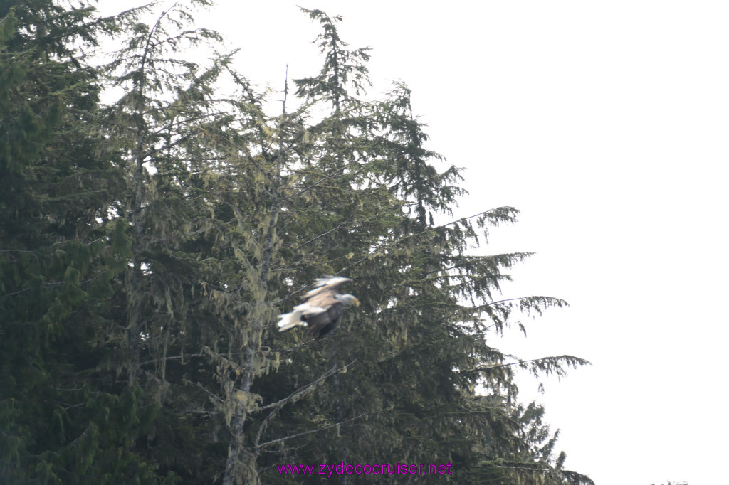 166: Carnival Miracle Alaska Cruise, Ketchikan, Bering Sea Crab Fisherman's Tour, 