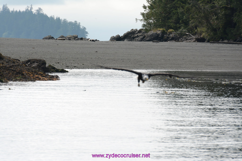 169: Carnival Miracle Alaska Cruise, Ketchikan, Bering Sea Crab Fisherman's Tour, 