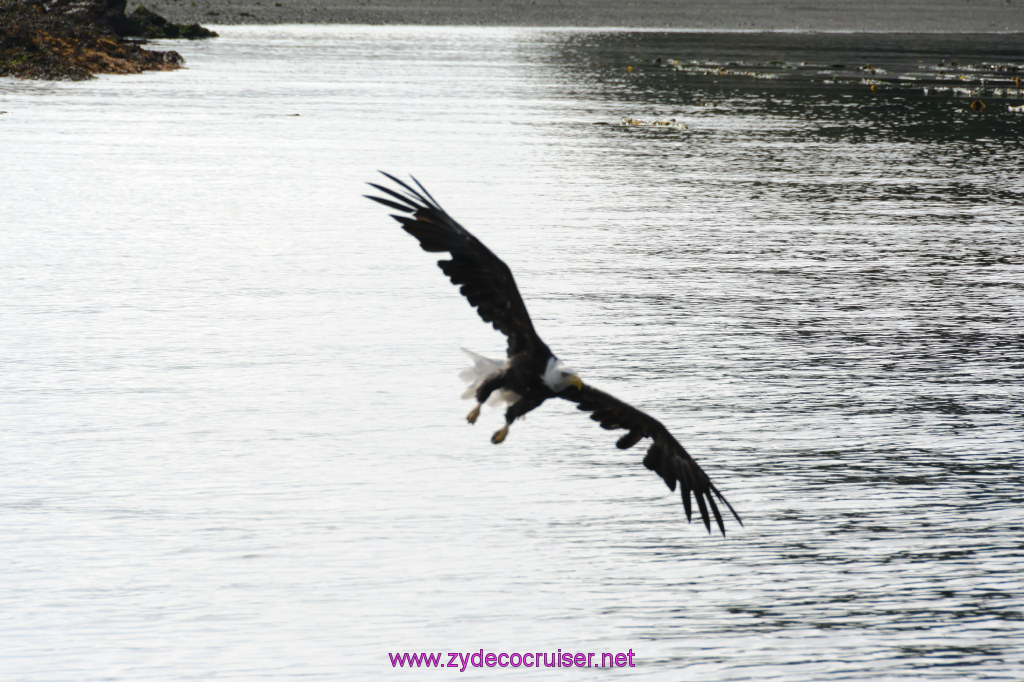 172: Carnival Miracle Alaska Cruise, Ketchikan, Bering Sea Crab Fisherman's Tour, 
