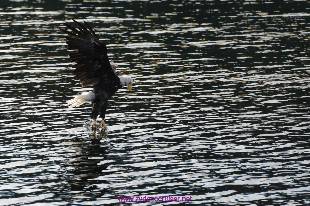 173: Carnival Miracle Alaska Cruise, Ketchikan, Bering Sea Crab Fisherman's Tour, 