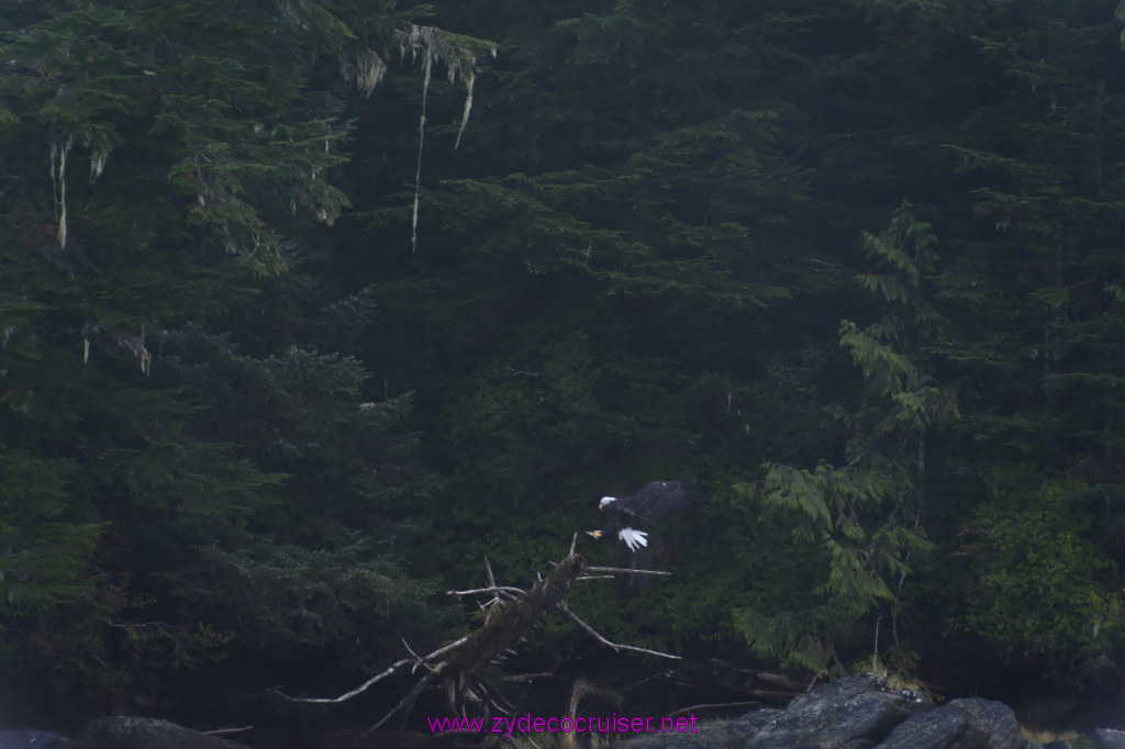 175: Carnival Miracle Alaska Cruise, Ketchikan, Bering Sea Crab Fisherman's Tour, 