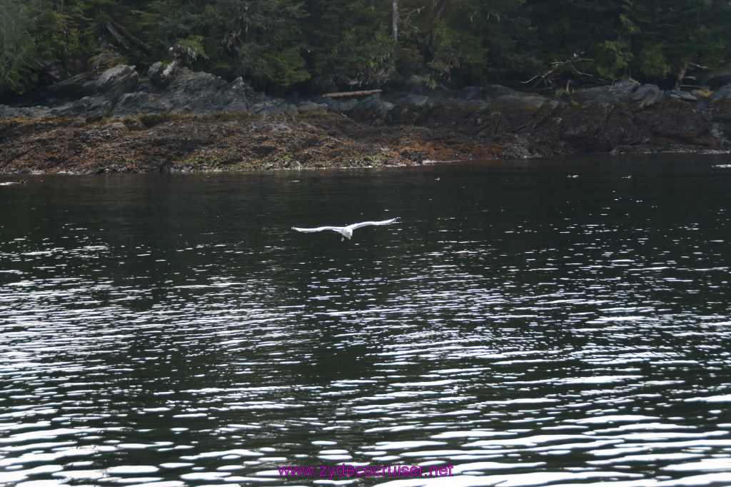 177: Carnival Miracle Alaska Cruise, Ketchikan, Bering Sea Crab Fisherman's Tour, 