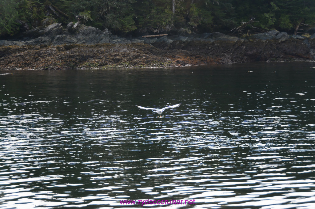 178: Carnival Miracle Alaska Cruise, Ketchikan, Bering Sea Crab Fisherman's Tour, 