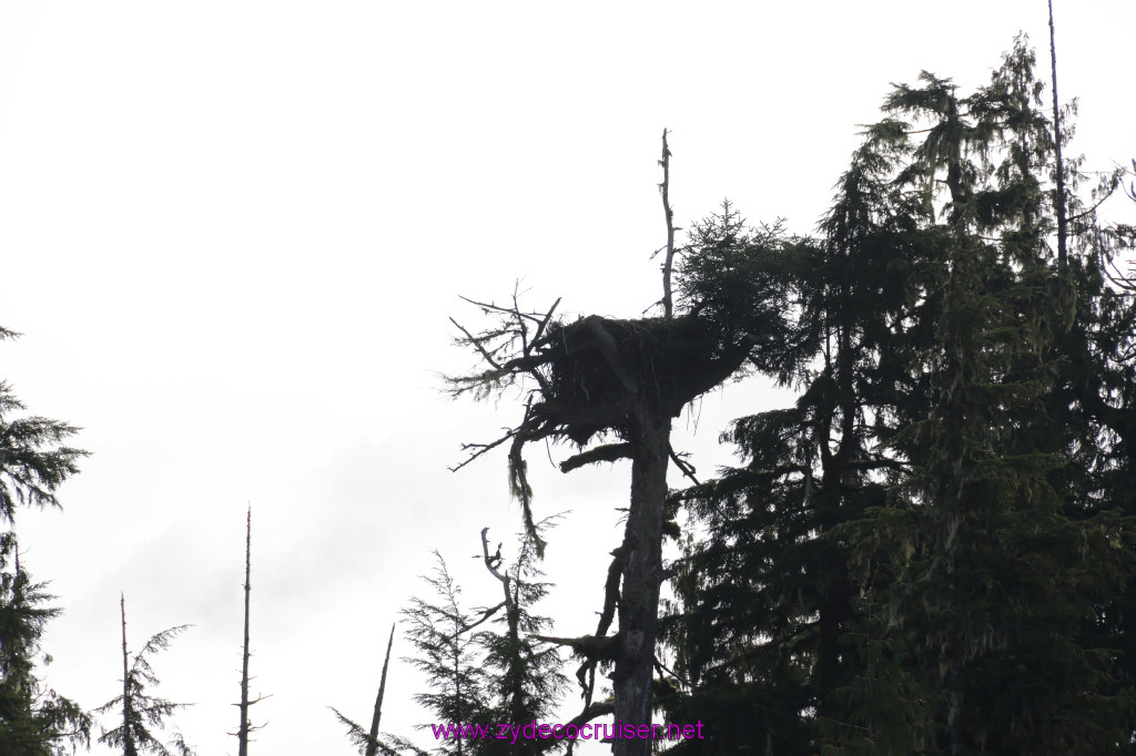 183: Carnival Miracle Alaska Cruise, Ketchikan, Bering Sea Crab Fisherman's Tour, 