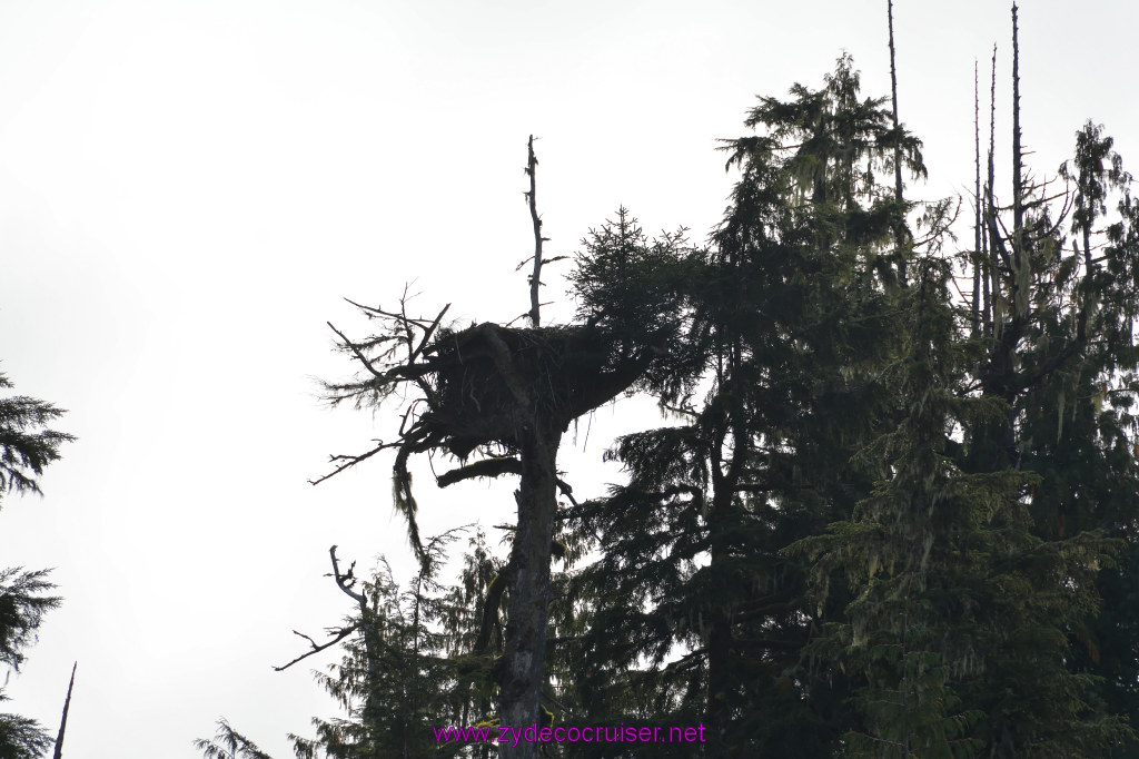 185: Carnival Miracle Alaska Cruise, Ketchikan, Bering Sea Crab Fisherman's Tour, 