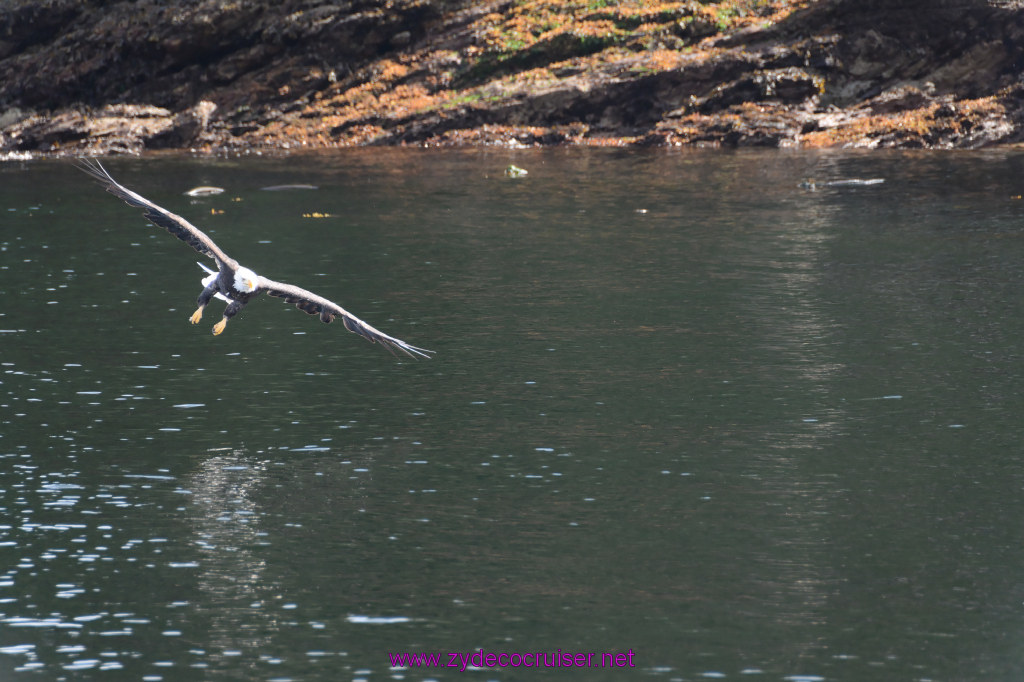 224: Carnival Miracle Alaska Cruise, Ketchikan, Bering Sea Crab Fisherman's Tour, 