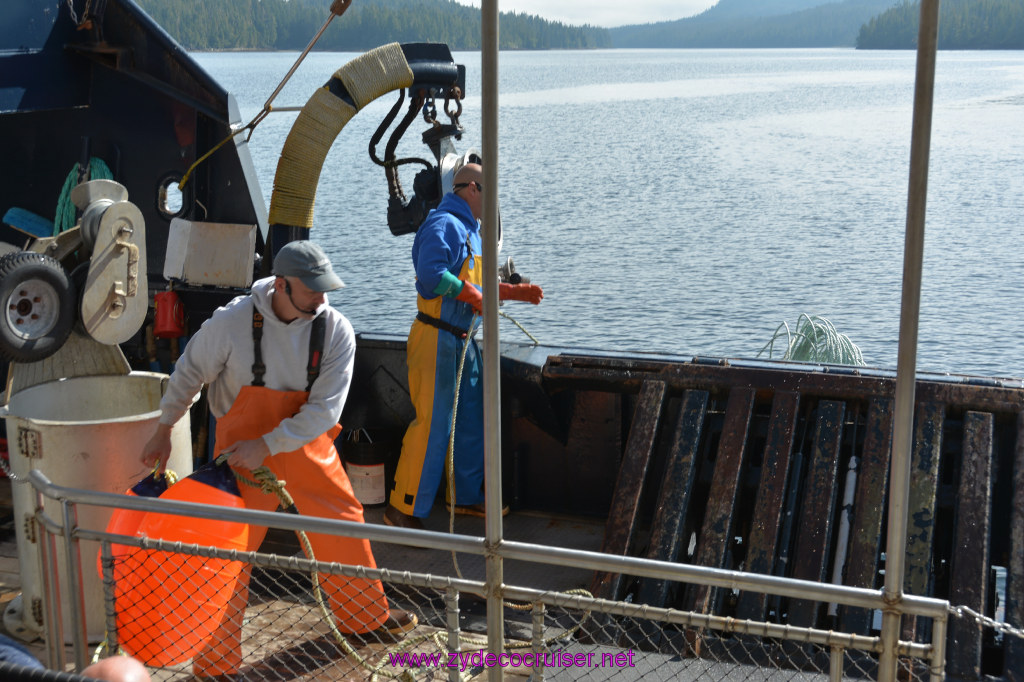 291: Carnival Miracle Alaska Cruise, Ketchikan, Bering Sea Crab Fisherman's Tour, 