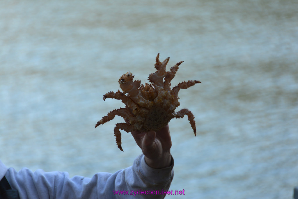 331: Carnival Miracle Alaska Cruise, Ketchikan, Bering Sea Crab Fisherman's Tour, 