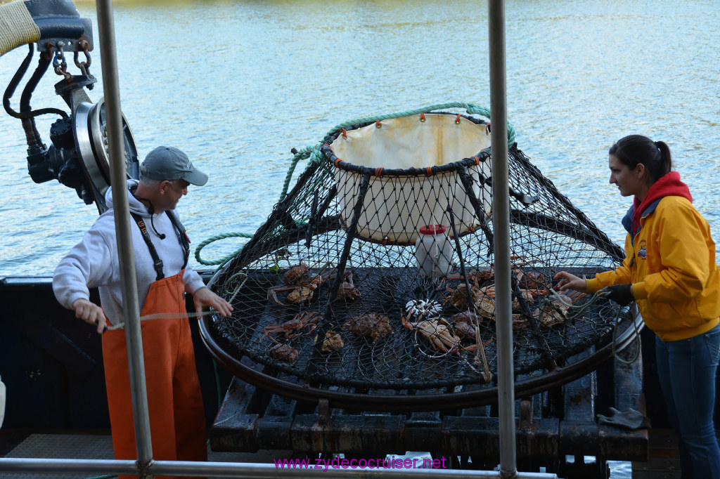 339: Carnival Miracle Alaska Cruise, Ketchikan, Bering Sea Crab Fisherman's Tour, 