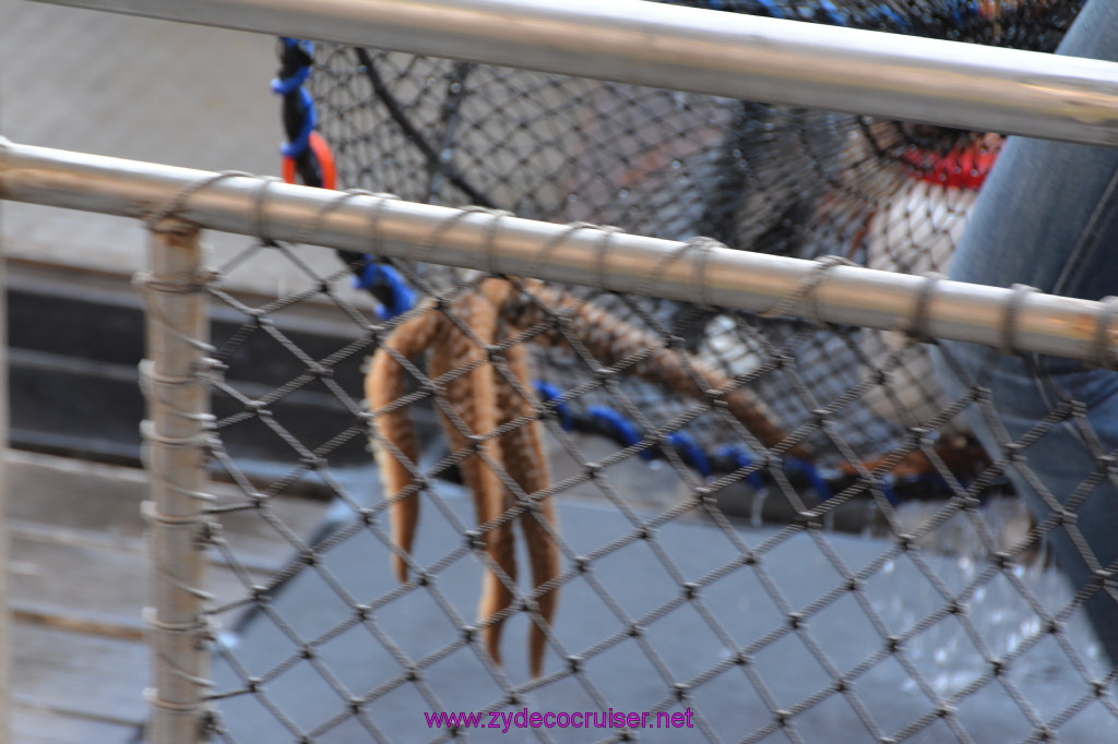 367: Carnival Miracle Alaska Cruise, Ketchikan, Bering Sea Crab Fisherman's Tour, 