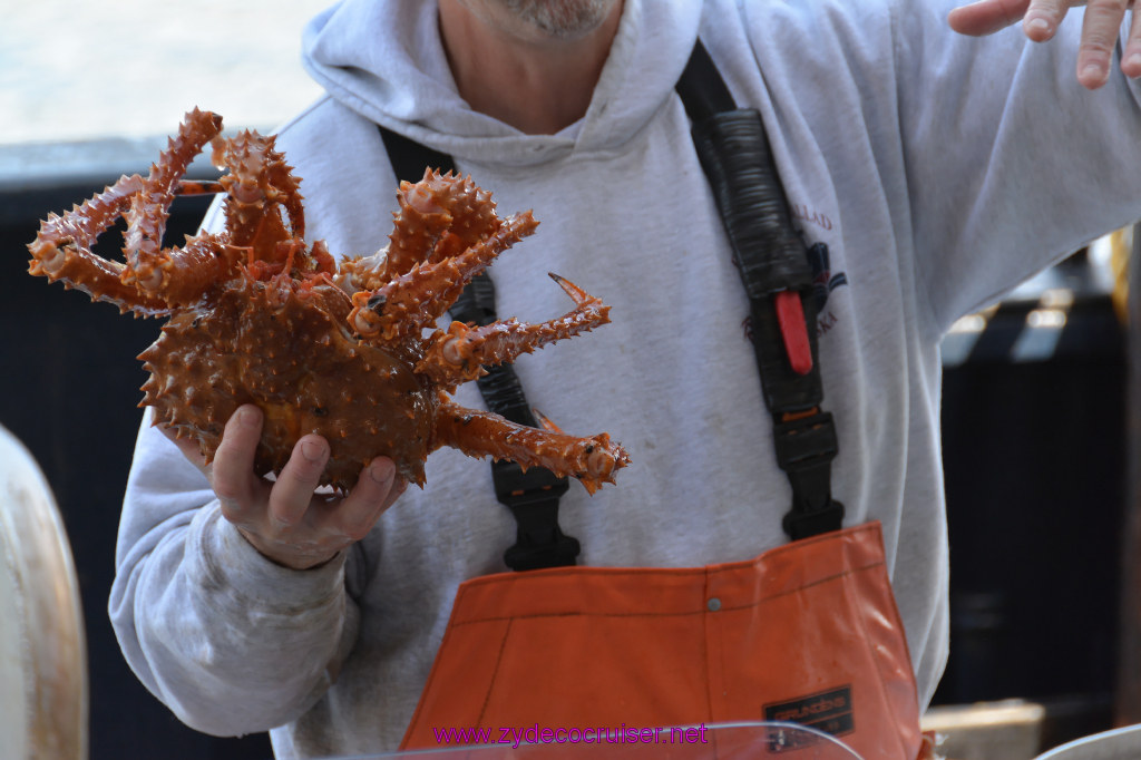 449: Carnival Miracle Alaska Cruise, Ketchikan, Bering Sea Crab Fisherman's Tour, 