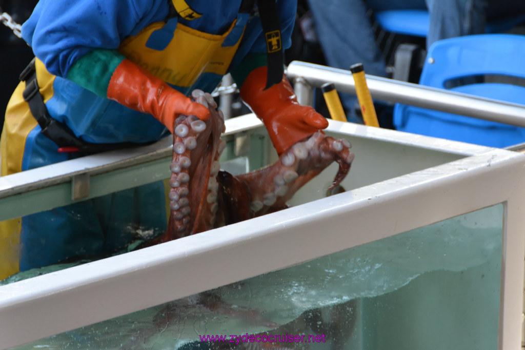 475: Carnival Miracle Alaska Cruise, Ketchikan, Bering Sea Crab Fisherman's Tour, 
