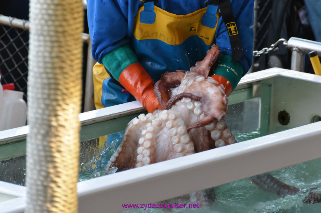 476: Carnival Miracle Alaska Cruise, Ketchikan, Bering Sea Crab Fisherman's Tour, 