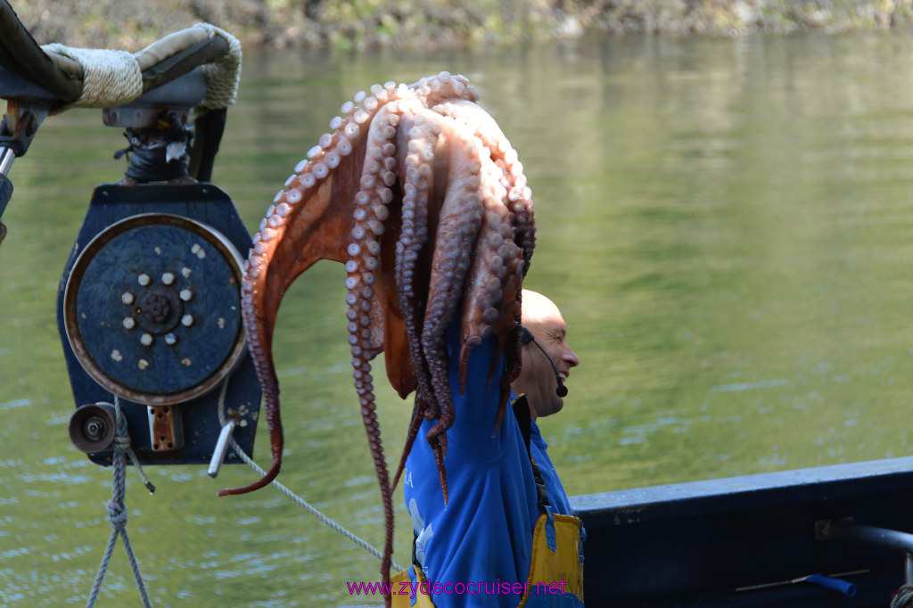 482: Carnival Miracle Alaska Cruise, Ketchikan, Bering Sea Crab Fisherman's Tour, 