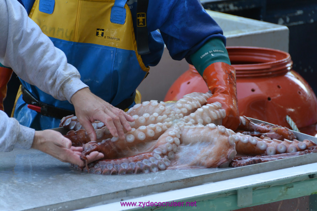 493: Carnival Miracle Alaska Cruise, Ketchikan, Bering Sea Crab Fisherman's Tour, 