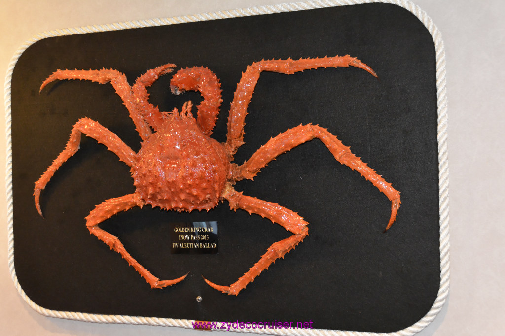 517: Carnival Miracle Alaska Cruise, Ketchikan, Bering Sea Crab Fisherman's Tour, 