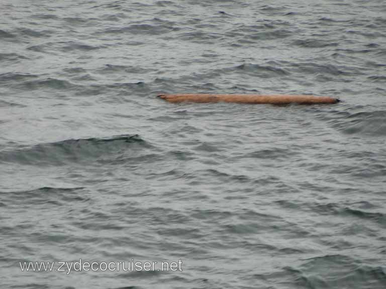 096: Carnival Spirit, Inside Passage, Scenery