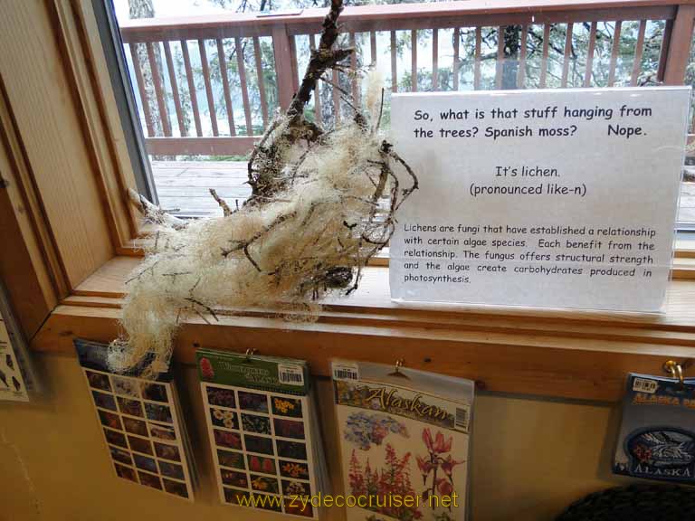 083: Carnival Spirit, Juneau - Lichen display