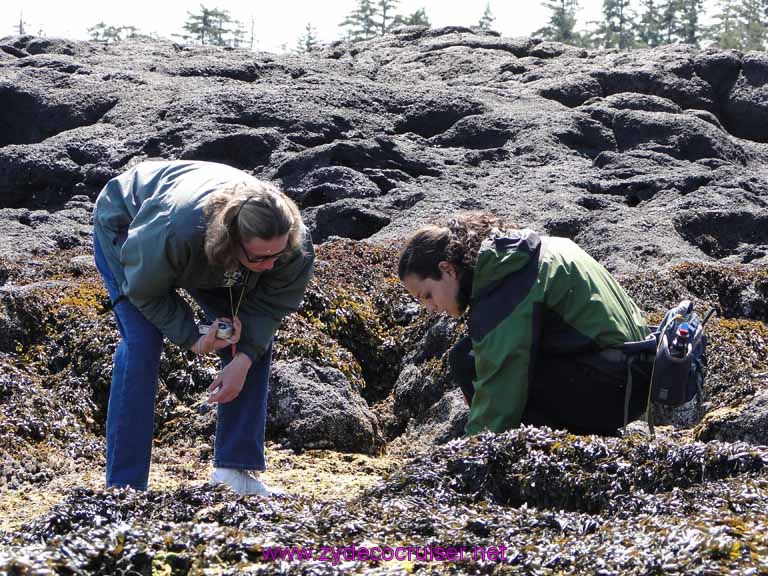 167: Sitka - Captain's Choice Wildlife Quest and Beach Exploration - exploring tide pools