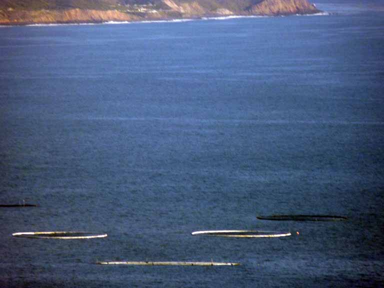 062: Carnival Spirit, San Diego/Ensenada - 