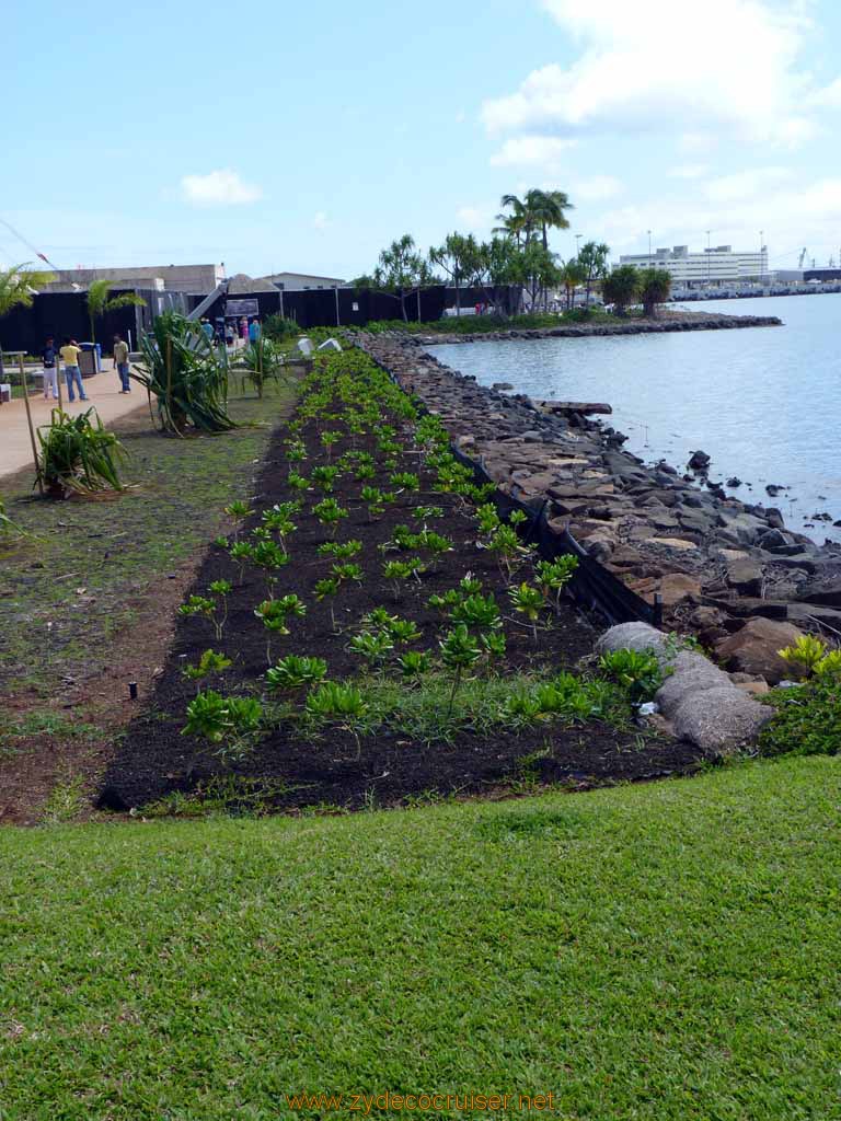 307: Carnival Spirit, Honolulu, Hawaii, Pearl Harbor VIP and Military Bases Tour, 
