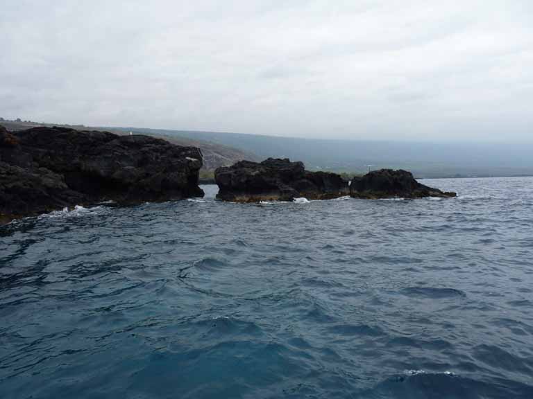 354: Carnival Spirit, Kailua-Kona, Captain Zodiac