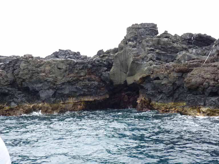 356: Carnival Spirit, Kailua-Kona, Captain Zodiac