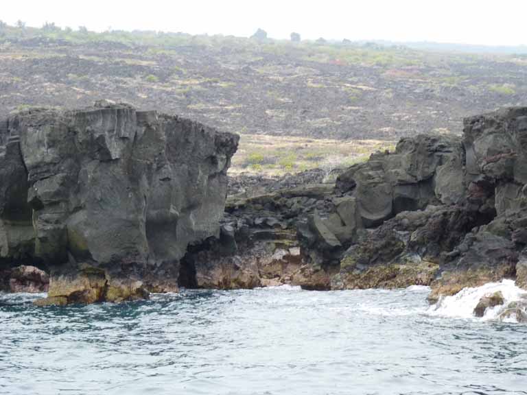 367: Carnival Spirit, Kailua-Kona, Captain Zodiac