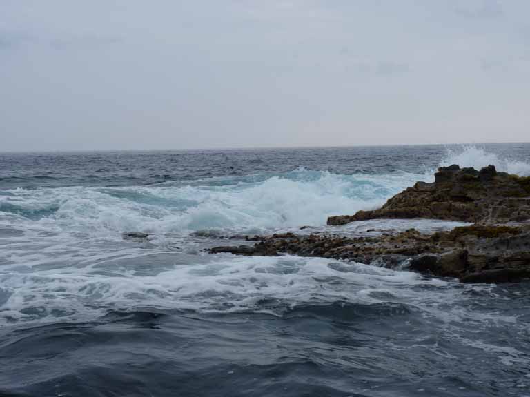 381: Carnival Spirit, Kailua-Kona, Captain Zodiac