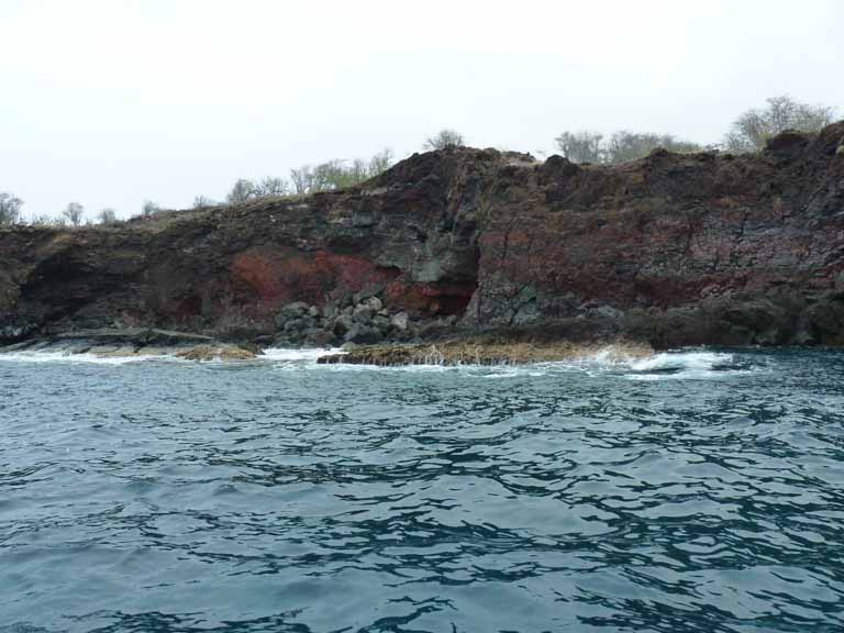 388: Carnival Spirit, Kailua-Kona, Captain Zodiac