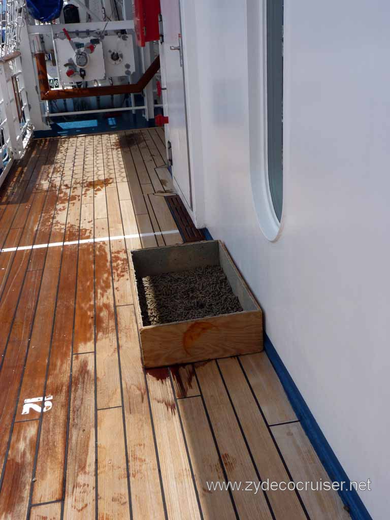 026: Carnival Spirit, Sea Day 3 - Poop Deck!