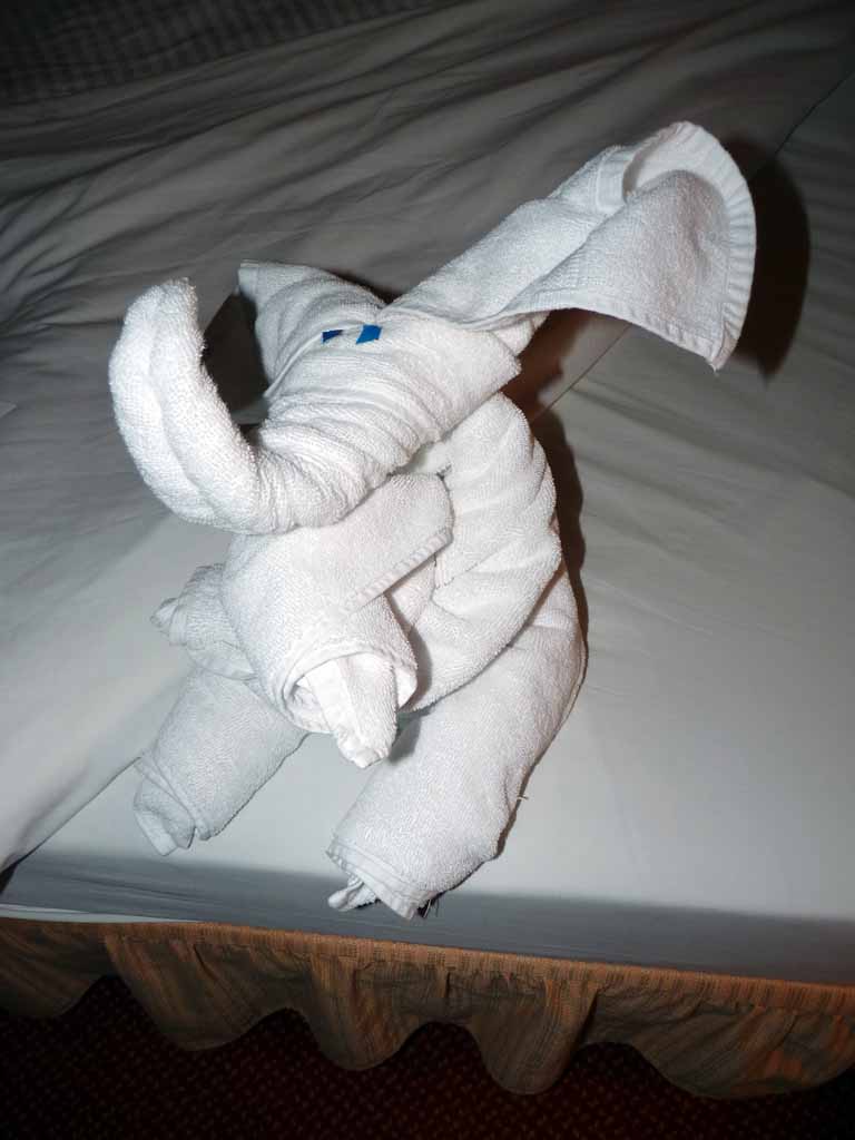 085: Carnival Spirit, Sea Day 4 - Towel animal