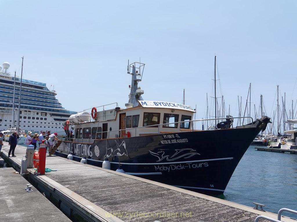 Carnival Venezia Transatlantic Cruise, Ponta Delgada, Moby Dick Whale and Dolphin Watching Tour, 