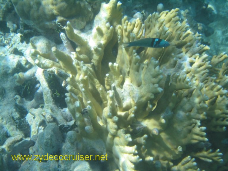 087: Carnival Liberty, Eli's Adventure Antigua Eco Tour, 