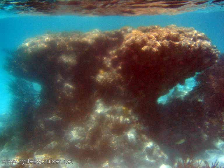 266: Sailing Yacht Arabella - British Virgin Islands - Snorkeling at Loblolly Bay